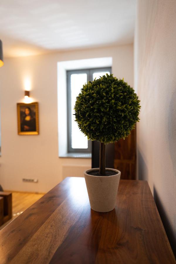 Black Field Apartment Brno Extérieur photo