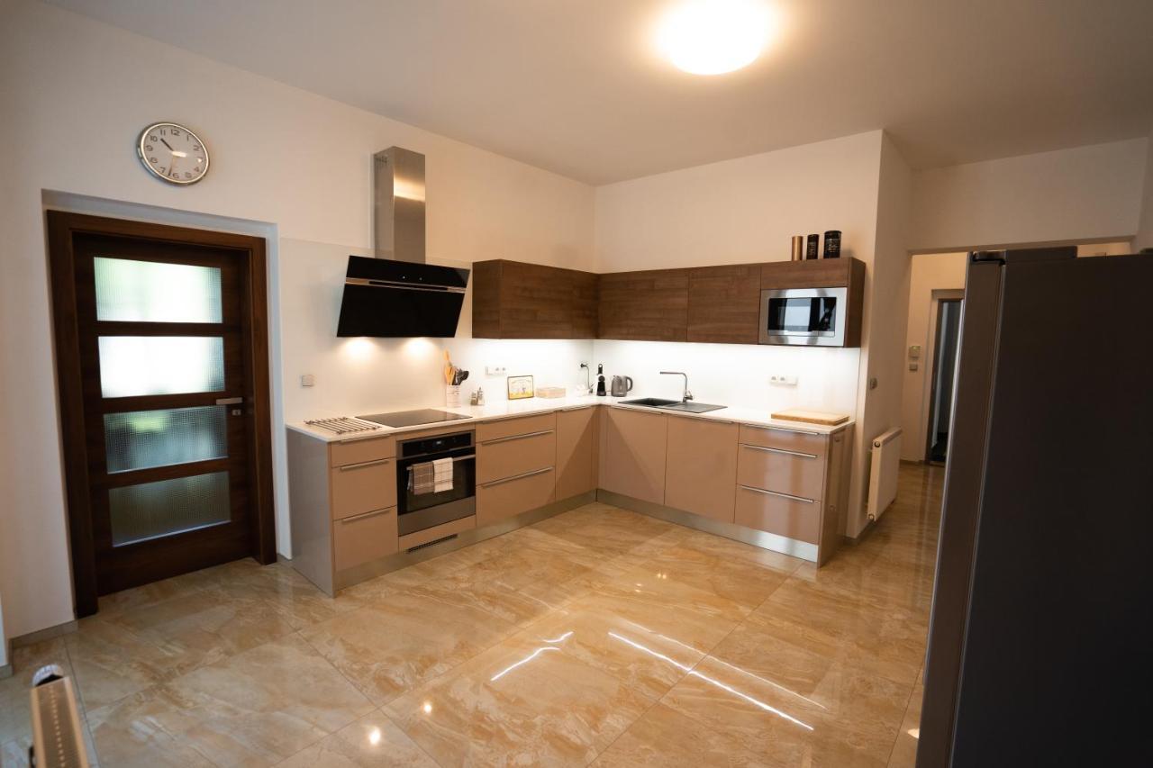 Black Field Apartment Brno Extérieur photo